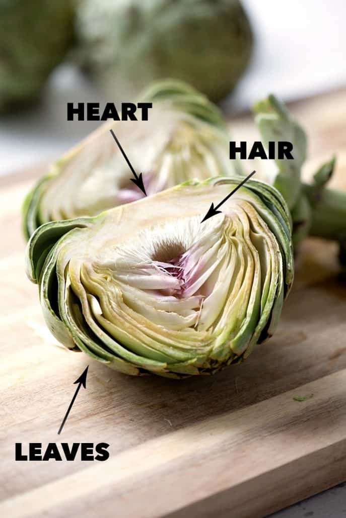 cross section of raw artichoke with labels