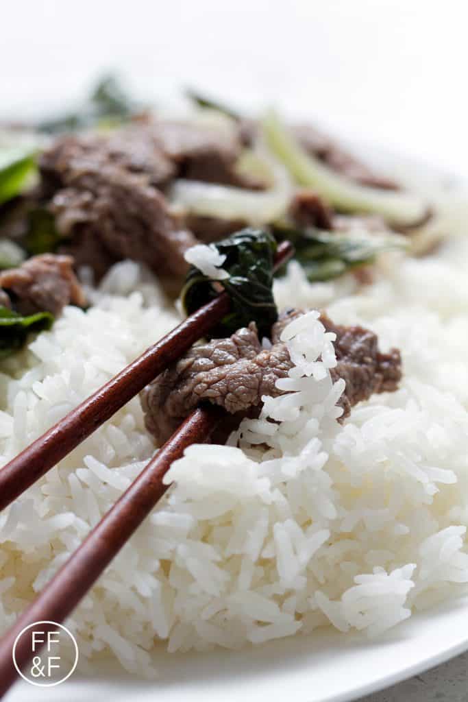 This is a soy free stir-fry recipe for the traditional Thai Basil Beef. This recipe is allergy friendly (gluten, dairy, shellfish, nut, egg, and soy free) and suits the autoimmune protocol and paleo diets.