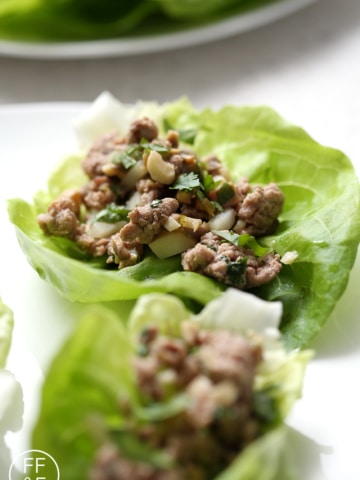These Turkey and Mushroom Lettuce Wraps are a healthy easy one pot dinner dish. This recipe is allergy friendly (gluten, dairy, nut, egg, soy and shellfish free) and suits the autoimmune protocol (AIP) and paleo diets.