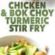 bowls of stir fry on white background with the words chicken and bok choy turmeric stir fry