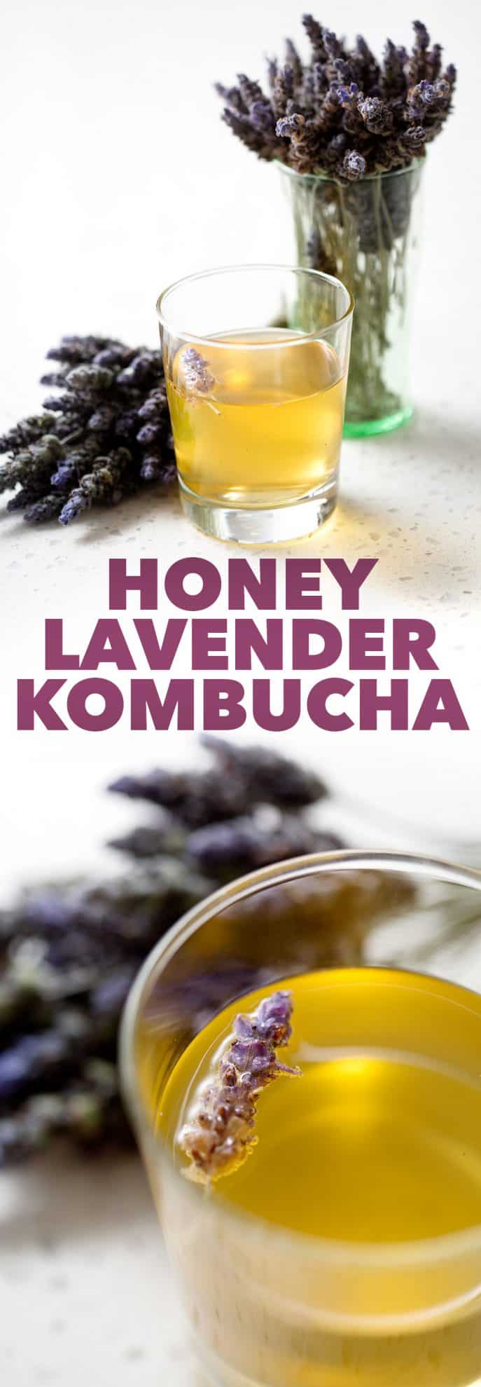 Honey Lavender Kombucha in glass with bunches of lavender on white background