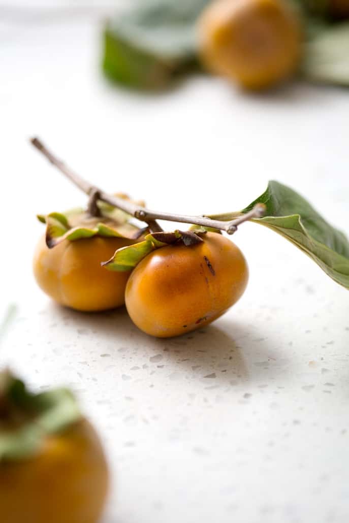 Persimmon season is a short one but I encourage you to scoop them up and make this Spiced Persimmon Butter. It’s similar to pumpkin or apple butter but made with persimmons and some extra spices for those yummy fall and winter flavors. This recipe is allergy friendly (gluten, dairy, shellfish, nut, egg, and soy free) and suits the paleo diets