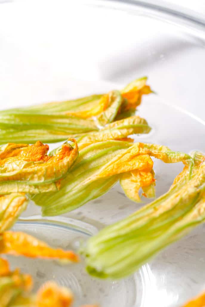 squash blossom floating in water