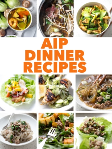 multiple food photos with the text aip dinner recipes
