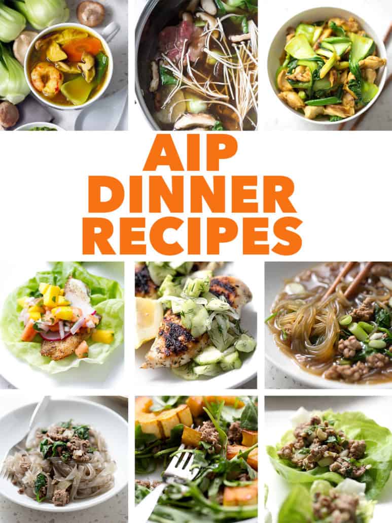 multiple food photos with text aip dinner recipes