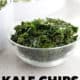 bowl of kale chips in front of dehydrator on white counter