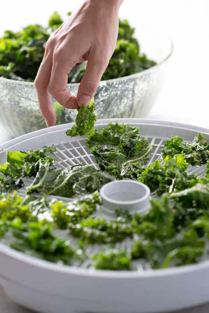 placing kale on dehydrator tray