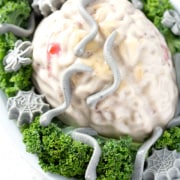 brain shaped jello on bed of kale on white background