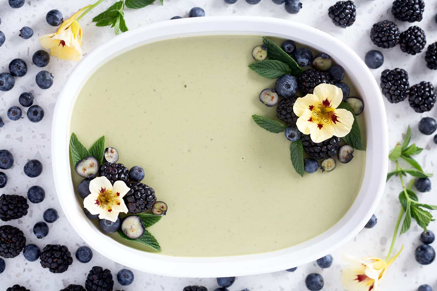 AIP Coconut Matcha Panna Cotta