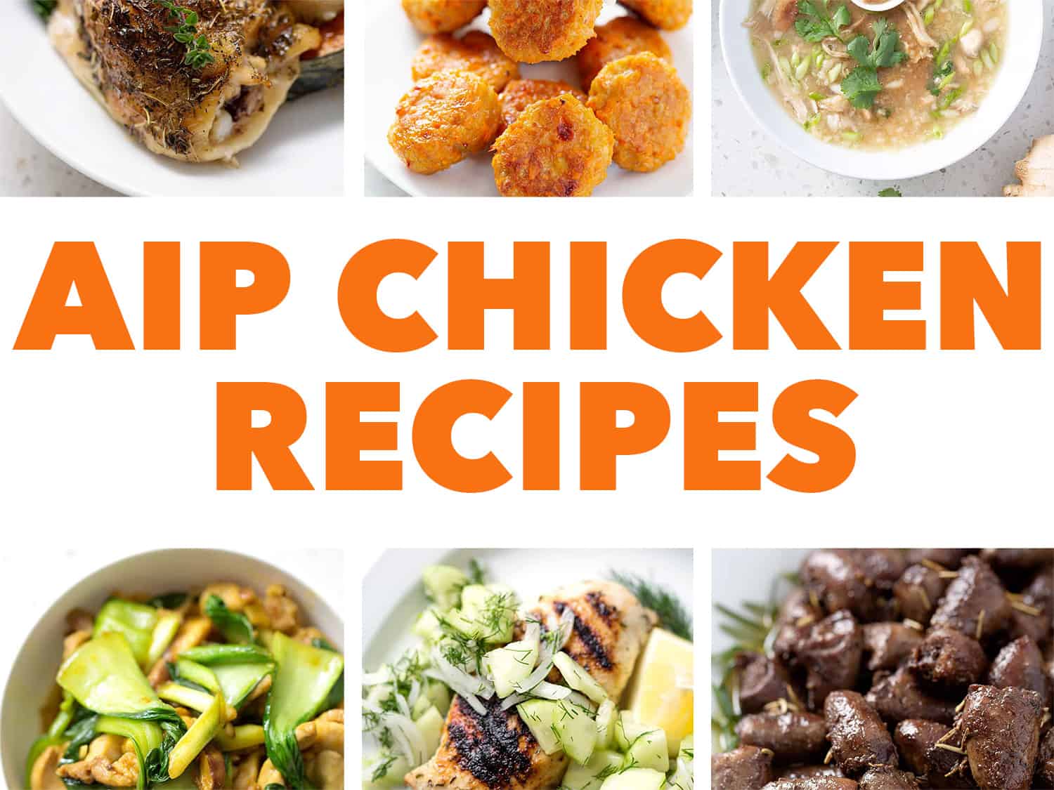 the words and pictures of AIP chicken recipes