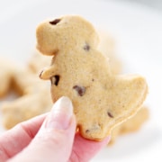 holding dinosaur AIP 'Chocolate' Chip Cut Out Cookie