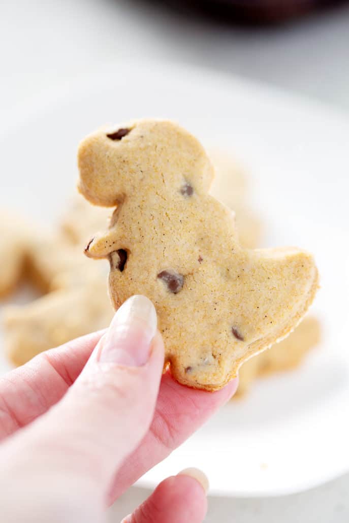 holding up dinosaur AIP 'chocolate' chip cut out cookie