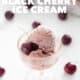 cup of AIP Black Cherry Ice Cream