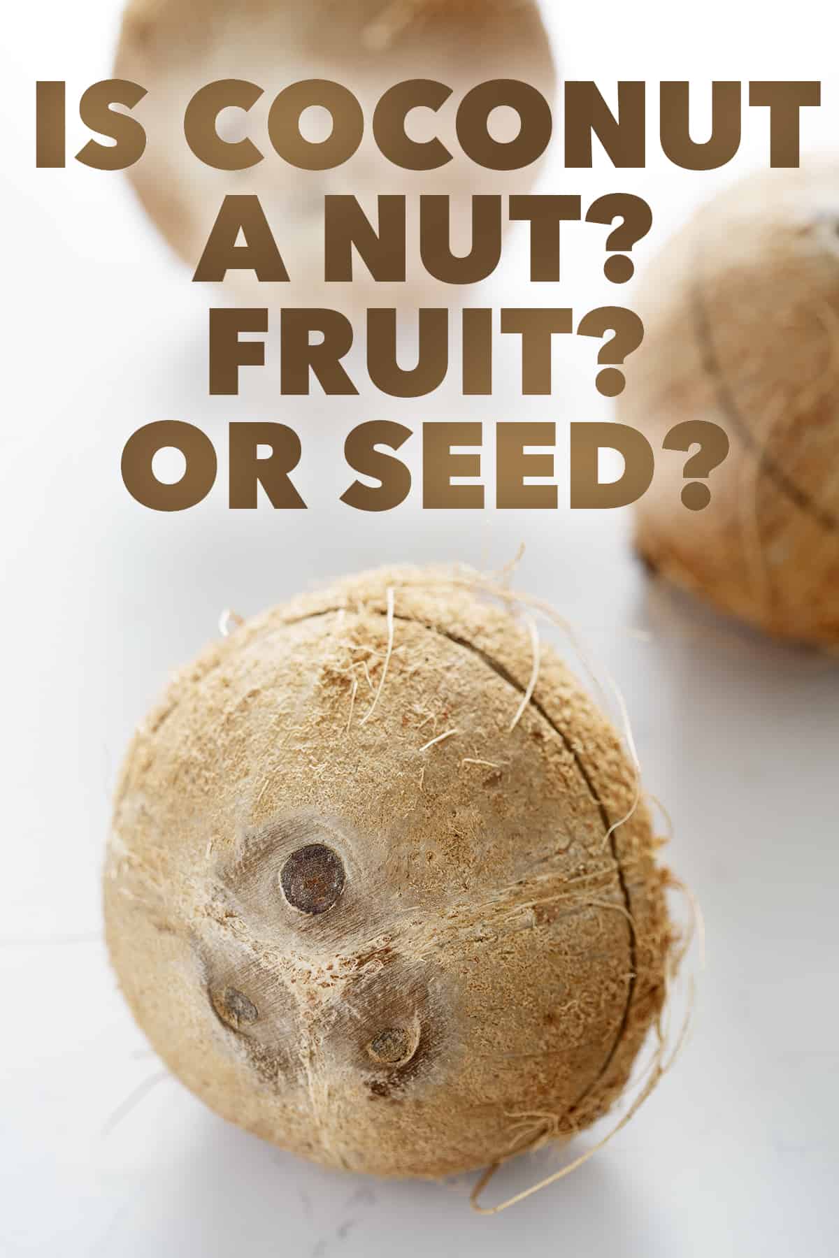 is-coconut-a-nut-the-honest-spoonful