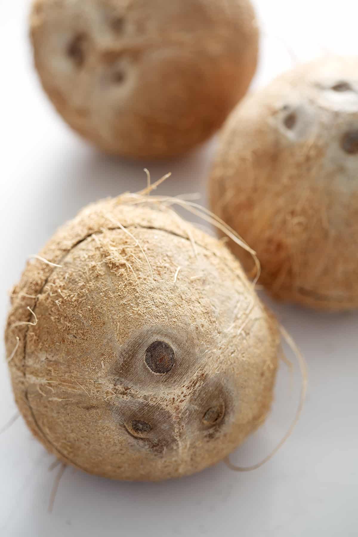 three whole coconut on white background