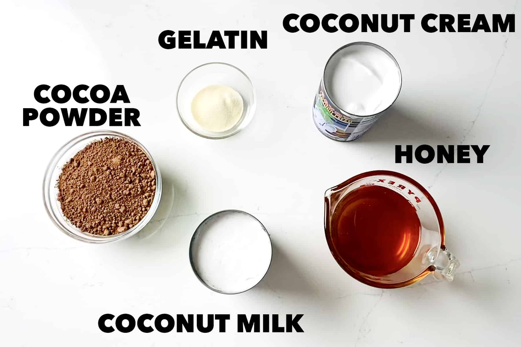 ingredients for Chocolate Panna Cotta: cocoa powder, coconut milk/cream, gelatin, honey.