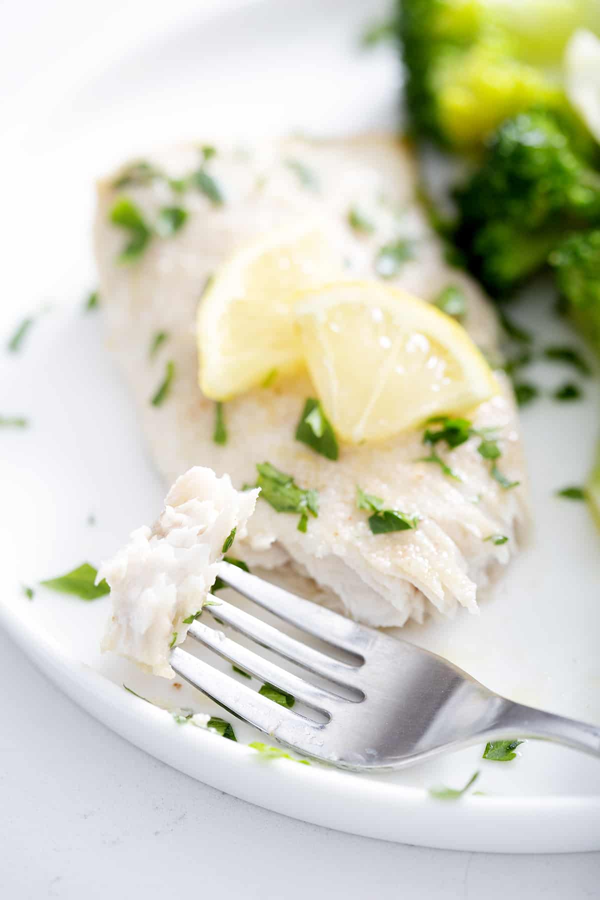 forkful of halibut fillet with parsley and lemon slices on white plate