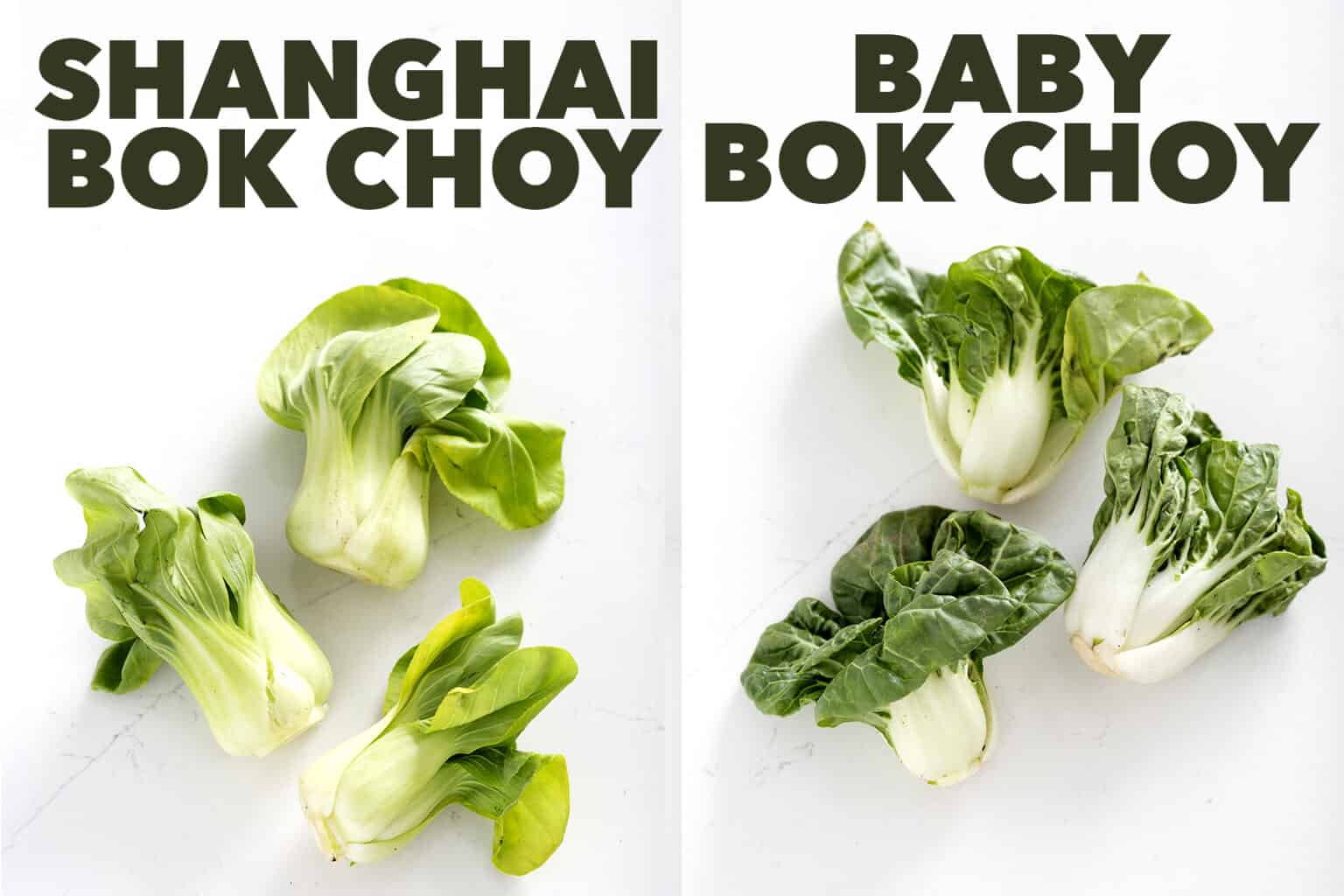 Garlic Shanghai Bok Choy | The Honest Spoonful