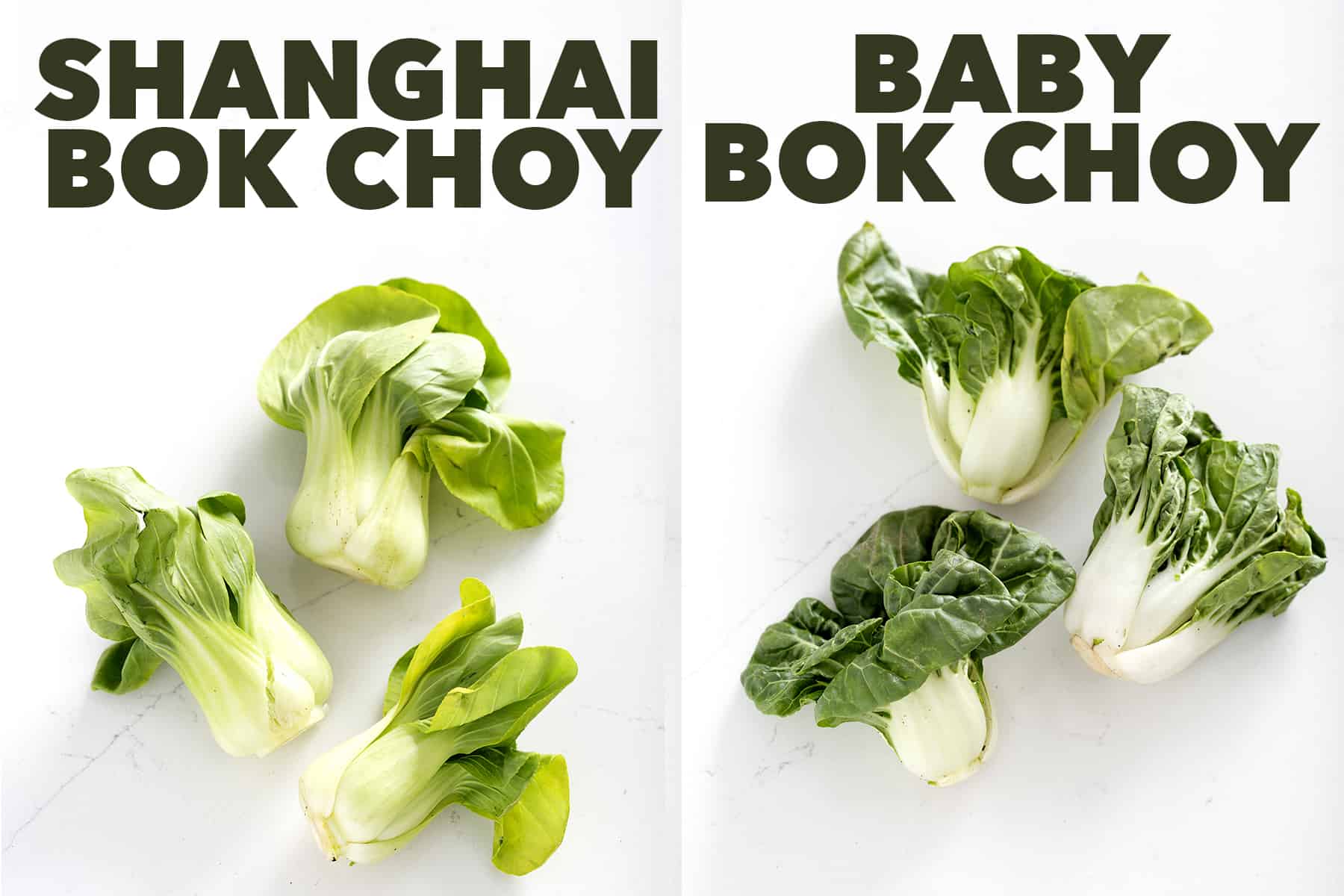 types of bok choy with labels