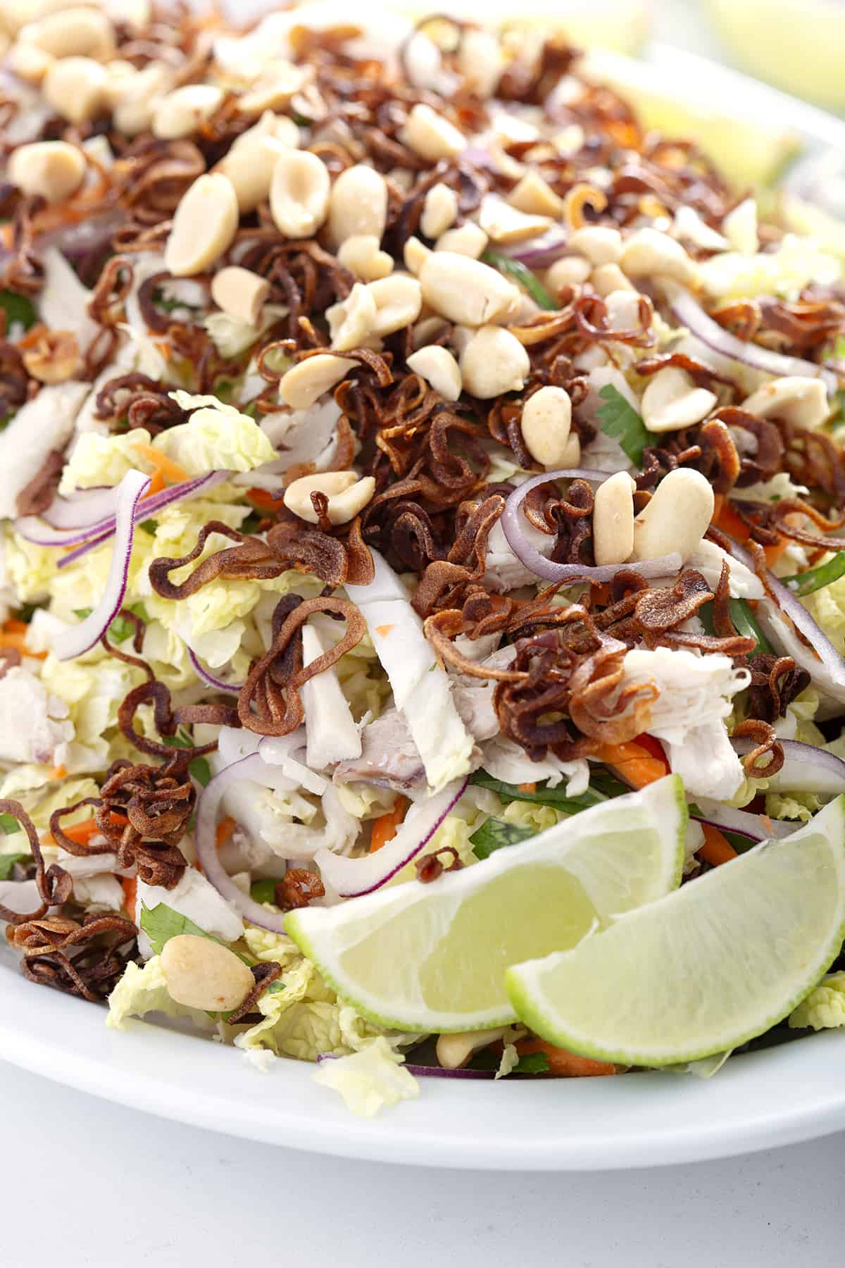 close up of Goi Ga (Vietnamese CHicken Salad)