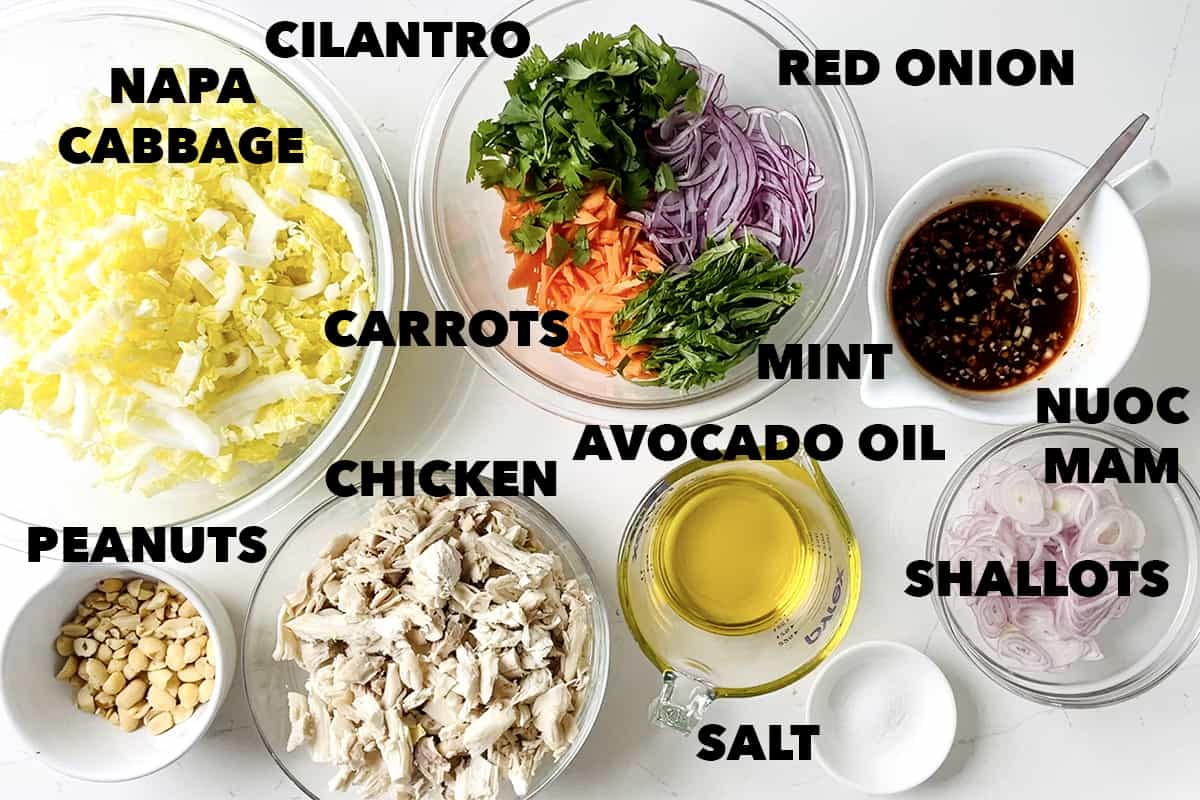 ingredients for goi ga (Vietnamese Chicken Salad)
