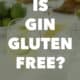 the words 'is gin gluten free?' over a gin rickey image